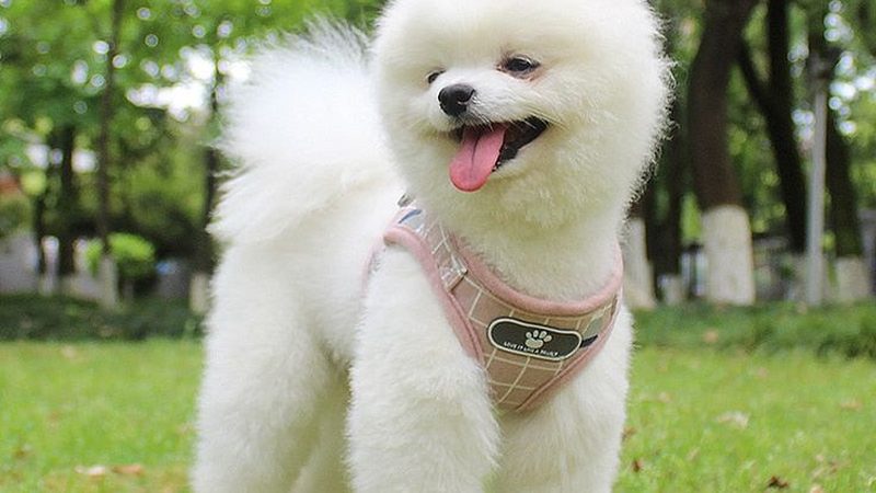 冷却塔风机降噪改造：如何有效降低噪音，提升环境品质